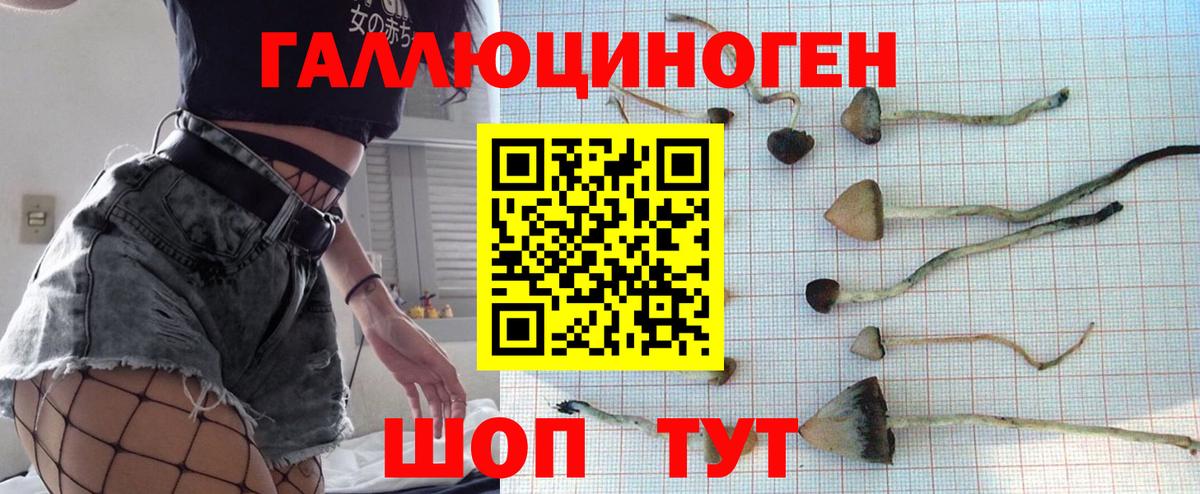 Соликамск  Псилоцибиновые грибы ЛСД  Вход с VPN 